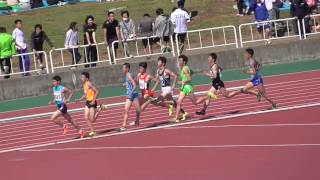 H28高校総体横浜市地区予選　男子800m二次予選三組目