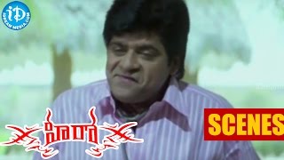 Nithin's Hero Movie Scenes - Ali comedy scene at  Kota Srinivasa Rao home