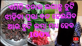 chuti jhadile kan kariba,hair fall solution odia,ଚୁଟି ଝଡିବା,chuti lamba ହେବ l 100%