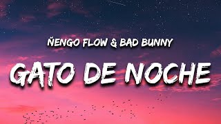 Ñengo Flow & Bad Bunny - Gato de Noche (Letra/Lyrics)