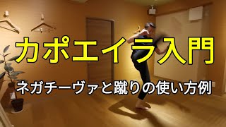 カポエイラ入門 ネガチーヴァと蹴りを使う SAMURAI CAPOEIRA 139