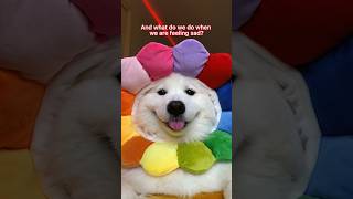 ✨Retail Therapy✨ #cute #dogshorts #puppy #tiktok #funny #dog #dogsofinstagram