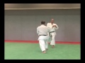 wado ryu kihon kumite 7