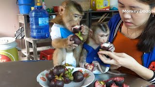 Wow Very Sweet Dodo And Tiny Brother Donal Enjoy Healthy Fruit