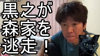 【金バエ】黒之が森家から脱走！！【よっさん】 2023/07/24