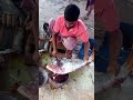 Live Giant Red Snapper Fish Cutting #shorts #fish #trending #youtubeshorts #shortvideo #reels #viral