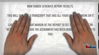 RIEPS Transcript Analysis