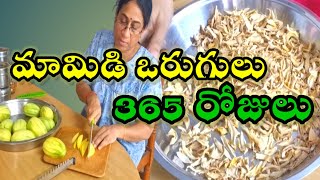 సంవత్సరం పాటు నిల్వ ఉండే మామిడికాయ ఒరుగులు | Raw Mango Orugulu | How to store Raw mango long time