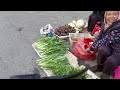 【4k】the market in the cantonese countryside