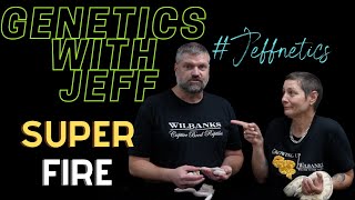 YOU WON'T BELIEVE THIS *SUPER FIRE* DISCOVERY!!! GENETICS WITH JEFF #JEFFNETICS EPISODE 1