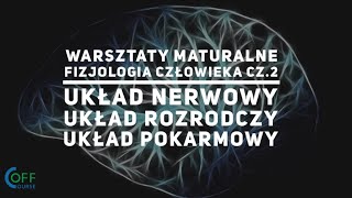 Fizjologia człowieka cz.2 • Off Course Warsztaty maturalne z biologii