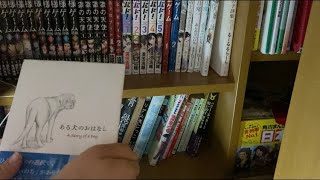 ASMR 本棚のタッピングと本の紹介する！