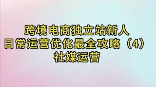 跨境电商独立站新人日常运营优化最全攻略（4）！流量运营：Ins社媒运营！