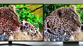 LG Nano76 vs Philips PUS8807 Smart TV