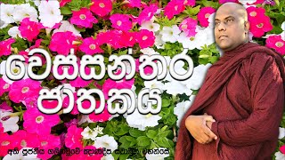 මහපොළව කම්පා කරමින් දාන පාරමිතාව පිරූ අප මහා බෝසතුන් | Galigamuwe Gnanadeepa Thero