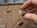 taglierina lira nda video 5 nocciolato gianduia