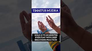 Tinnitus Problem? Try this Yoga Mudra | Aakash  Shamak Mudra or Shunya Mudra