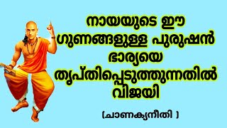 നായയുടെ ഈ ഗുണമുള്ള പുരുഷന് ഭാര്യയെ തൃപ്തിപെടുത്താം #motivation #inspiration