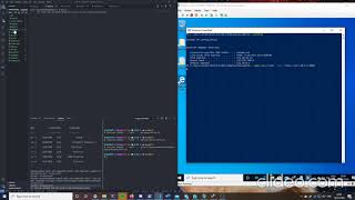 Write a HTTPS Reverse Shell