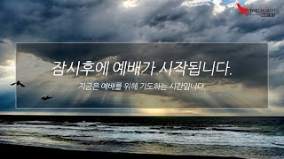 [그교회]20241231_내 잔이 넘치나이다_송구영신예배