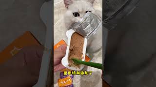 军训的小猫有肉吃 都乐时掰掰火 都乐时主食餐盒 记录猫咪日常