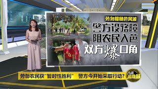 八点最热报 25/08/2020 财团入芭进行勘测工作   警方农民对峙爆发口角