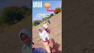 ఉల్లి నాటు #village #farming #youtubeshorts #viralshort #nature