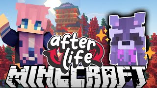 🦝Raccoon Powers 🦝| Ep. 1 | Afterlife Minecraft SMP