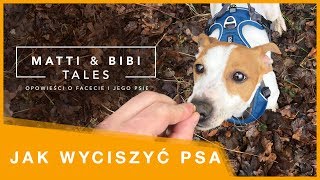 JAK WYCISZYĆ PSA - gdy ma za dużo energii lub jest reaktywny.