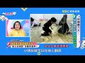 與孩子一起fun暑假！放假在家別煩惱 一周作息「這樣安排」準沒錯？！【媽媽好神】精選 ep474 岑永康 鍾欣凌