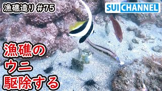 新たな試み！漁礁のウニを駆除して磯焼けが起こる仕組みを調べる！【漁礁造り#75】