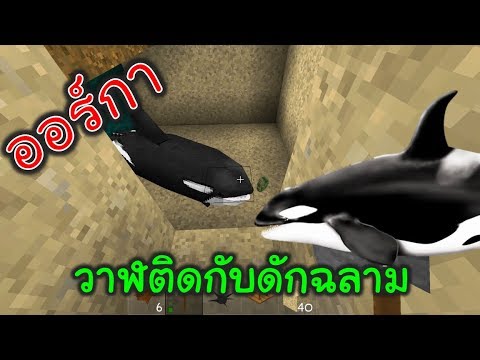 ปลาฉลาม Funcliptv - roblox#U0e44#U0e17#U0e22 funcliptv