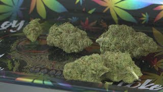 Jefferson County voters to decide fate of marijuana sales, production