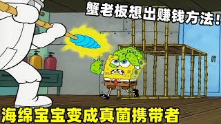 海綿寶寶【恐怖的真菌】小海綿變成真菌攜帶者，蟹老板反而想出賺大錢的方法！#海绵宝宝 #动漫 #spongebob #shorts #搞笑动画