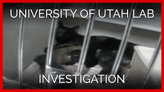 University of Utah Lab Undercover Investigation
