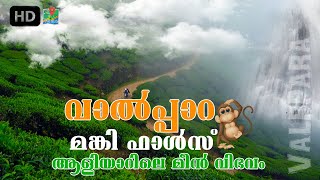 Athirapally to valparai trip | Malakkappara | Monkey falls | വാൽപ്പാറ ട്രിപ്പ് അറിയേണ്ടതെല്ലാം