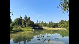 杭州植物园秋日美景（内有大佛头）Hangzhou Botanical Garden（there is a Buddha head）