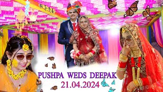 Wedding Highlights | Rajasthani Royal Wedding | Pushpa Kumari weds Deepak  highlights | #shubhaangan