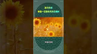 海子的诗：幸福一日致秋天的花楸树