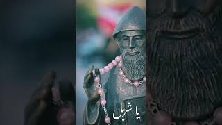 Saint charbel | Annaya | القديس شربل | عنايا