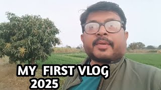 My First Vlog 2025 | @UHDP MANGO @kcvlog1982