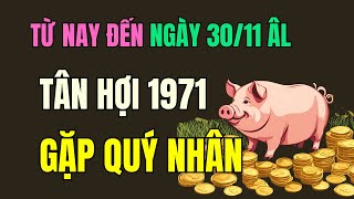 Tử vi Tuổi Tân Hợi 1971. Từ nay đến Ngày 30 tháng 11 Âm lịch. Quý nhân Phù trợ, Đại cát đại lợi