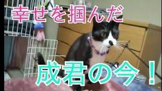 [里親さんから]  出向社員 成君の出来立てほやほやのお仕事してる様子の動画が届きました😊