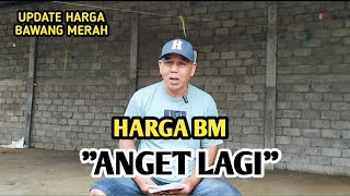 HARGA BM ANGET LAGI | UPDATE HARGA BAWANG MERAH BJM CHANNEL