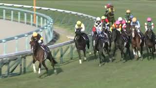 2022.10.23 Kikuka Sho (Japanese St. Leger) - Ask Victor More