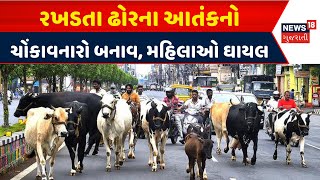 Kutch Stray Cattle News: આદીપુરમાં રખડતા ઢોરના આતંકનો ચોંકાવનારો બનાવ | Aadipur | News18 Gujarati