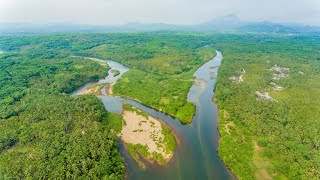 China finishes preliminary work of drawing ecological 'red line'