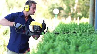 STANLEY 2 Stroke Petrol Hedge Trimmer