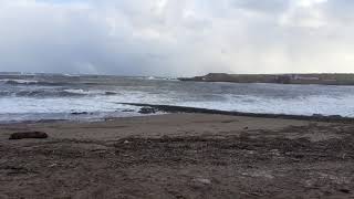 Blustery Beach! Eyemouth, Berwickshire, Scottish Borders