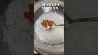 여름 입맛 없을때 밥에 찬물 말아 김치